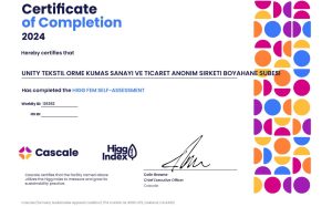 HIGG FEM BOYAHANE